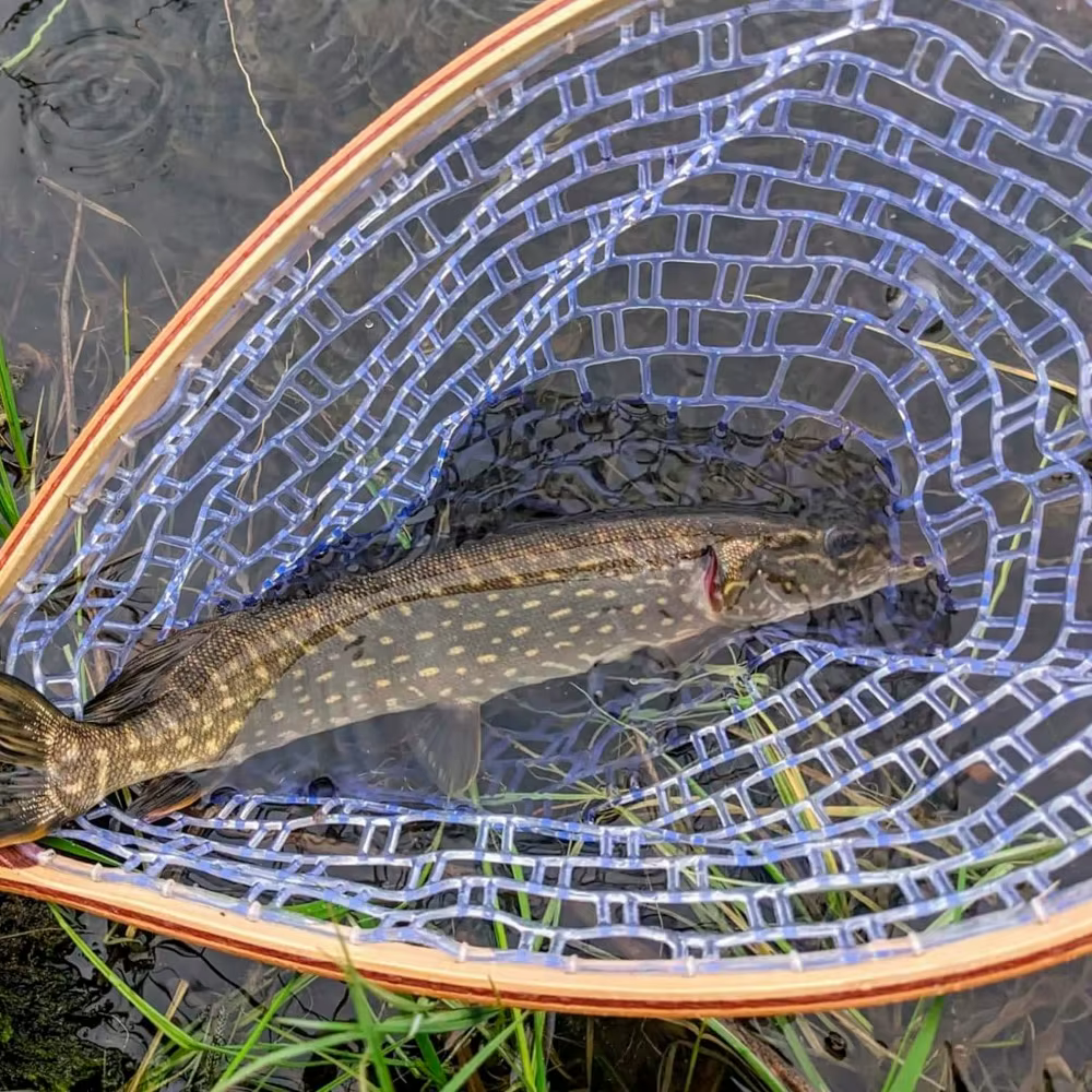 Salabardo de pesca con malla de goma y mango de madera para mosca - imagen 5