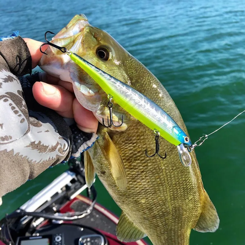 Ackibbik Duo Lock broches giratorios para pesca en agua salada - imagen 4