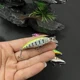Señuelo Minnow hundimiento lento para lucio, trucha y lubina