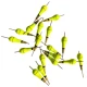 Flotadores de pesca de madera Paulownia FREE FISHER – corcho - imagen 4