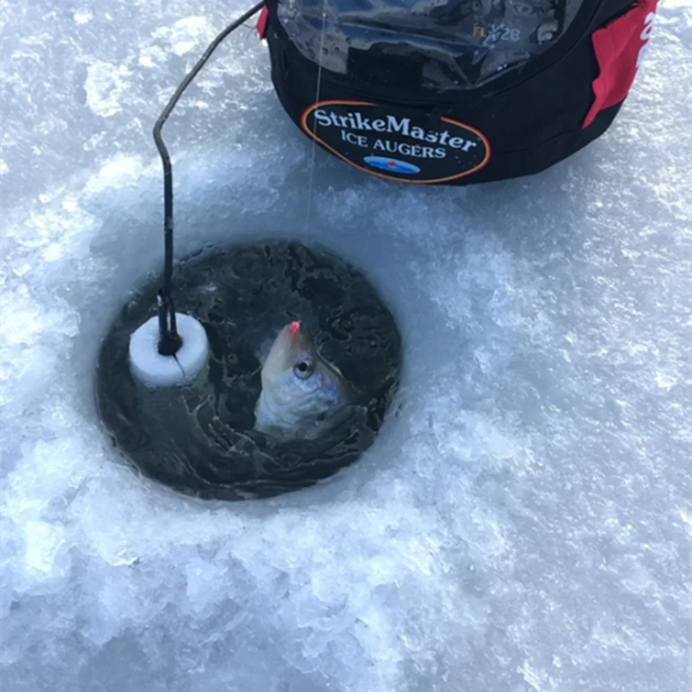 Elite TG Cabezas de jig de tungsteno para pesca en hielo perca/lucio - imagen 5