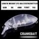 Dr.Holife crankbait sin pintar con sonajero – cuerpos flotantes