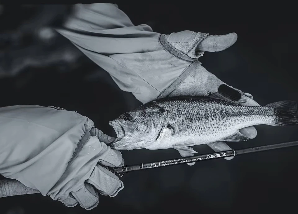 Caña MAXCATCH APEX 9 pies 5WT multipieza