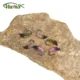 Vtwins Moscas de pesca con mosca para trucha, ninfa checa Scud - imagen 3