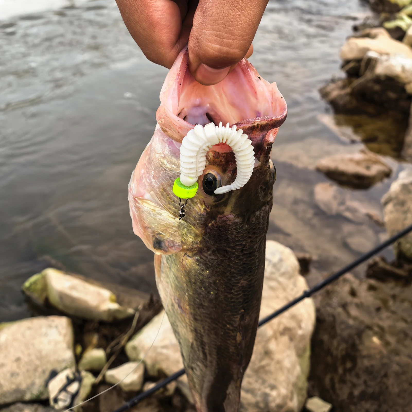 Vinilos TPE para pesca FREE FISHER Worms – cola aguja olor a pescado - imagen 4
