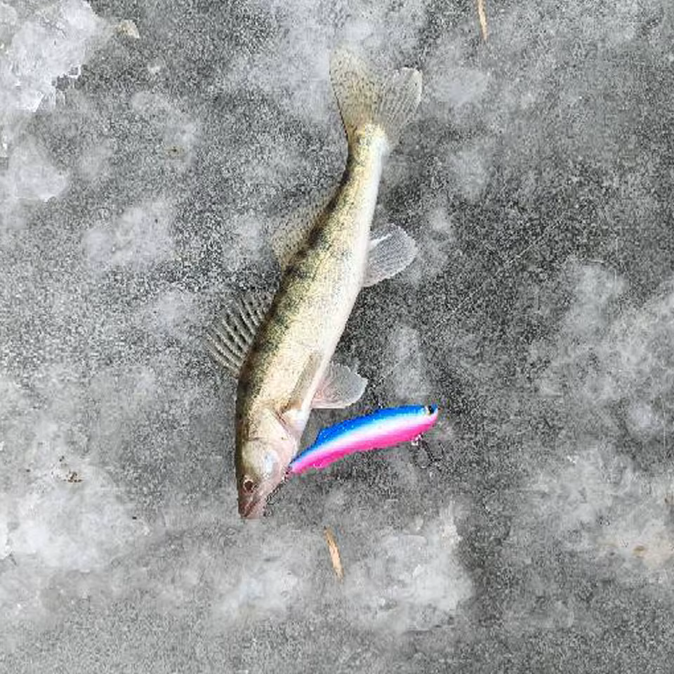 Wobbler Crankbait Sinking 16-30g Walk Fish – Señuelo artificial lubina - imagen 5
