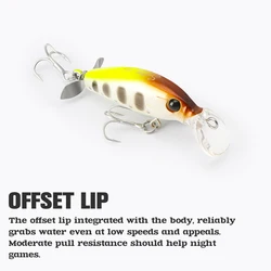 TSURINOYA Minnow SENTRY 40S – Señuelo de minnow para lubina