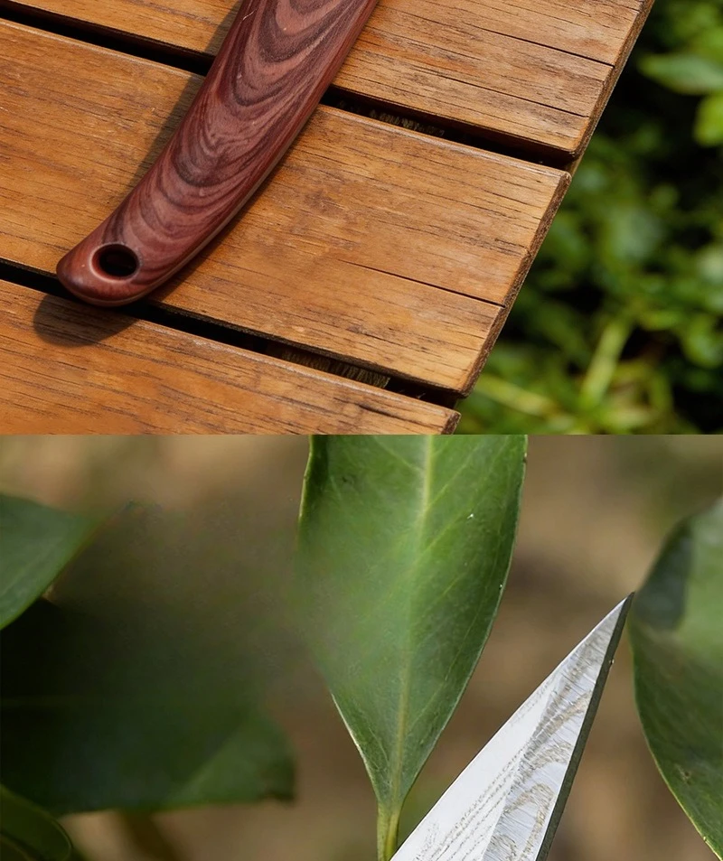 Uso del cuchillo en injertos de frutales