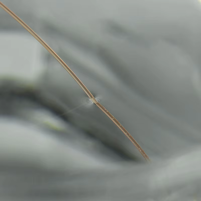 Sedal de pesca nailon alta resistencia – Agua dulce y salada - imagen 4