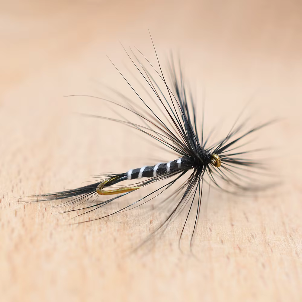Moscas Secas Trucha MNFT Cebra Negra – Nº10 - imagen 3