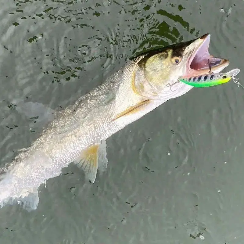 TSURINOYA Minnow 60S Señuelo Hundido para Lucio y Lubina - imagen 5