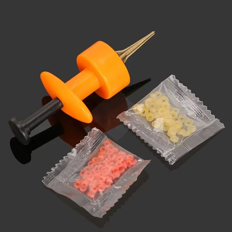 Kit para hilo elástico de pesca con cargador - imagen 2