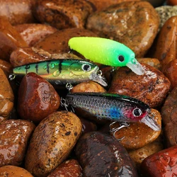 Walker WALK FISH – Señuelo para lubina y trucha