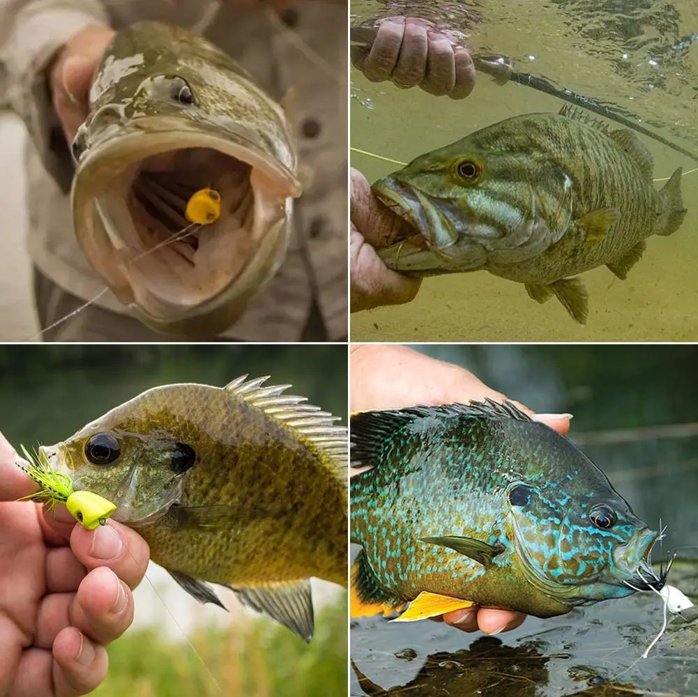 Popper de pesca con mosca Topwater – Señuelo para lubina y trucha - imagen 4