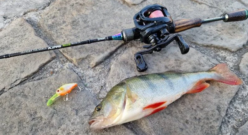 Señuelo crankbait de hundimiento lento Kingdom, 50 mm y 5 g