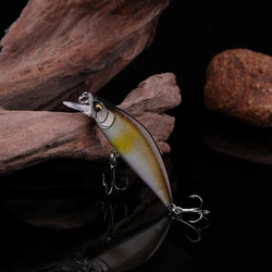 WALK FISH Señuelo de pesca cebo duro para trucha lucio pececillos