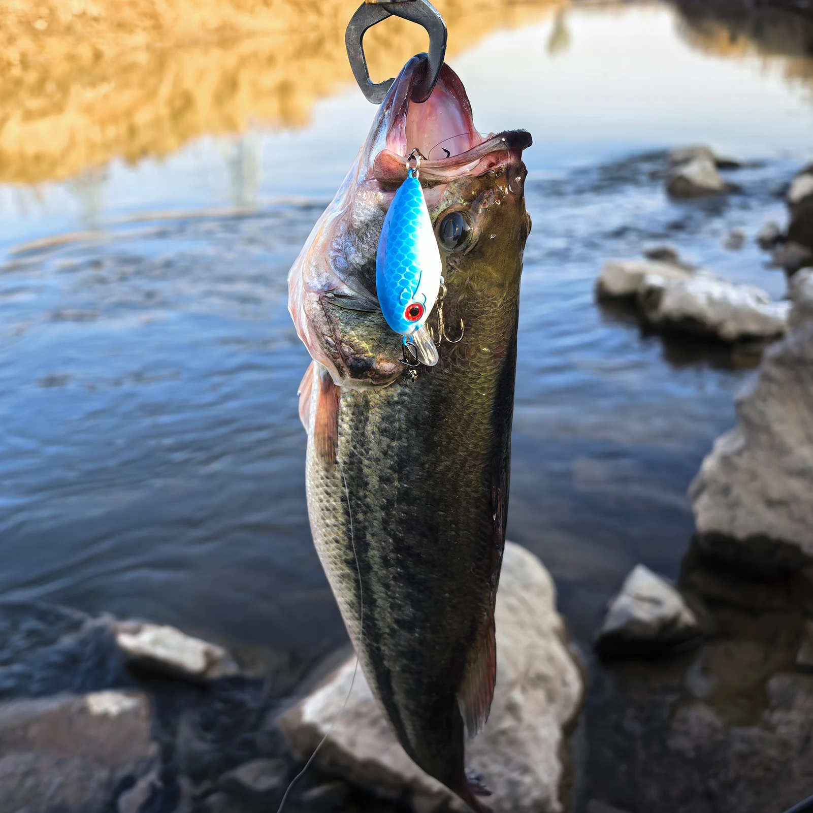 Free Fisher crankbait señuelo duro topwater para trucha y lubina - imagen 2