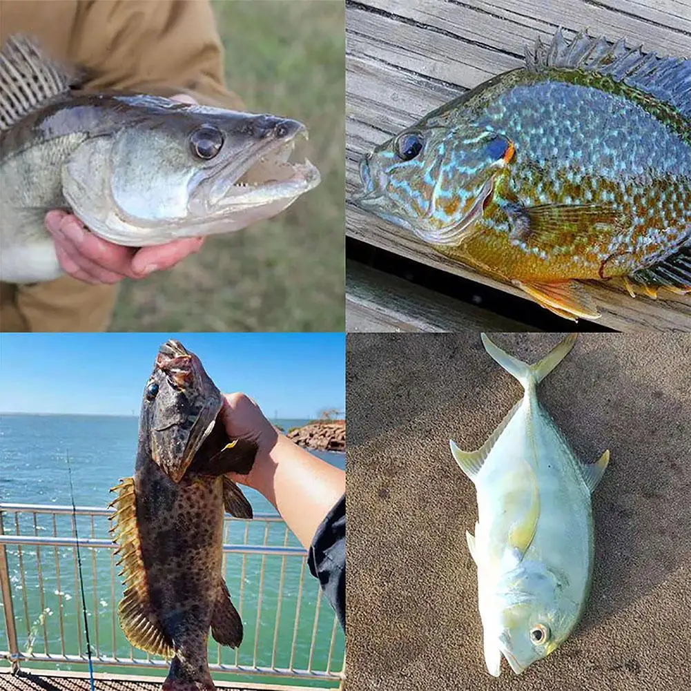 Anzuelos Jig Head de bola redonda para vinilo – Kit mar y agua dulce - imagen 5