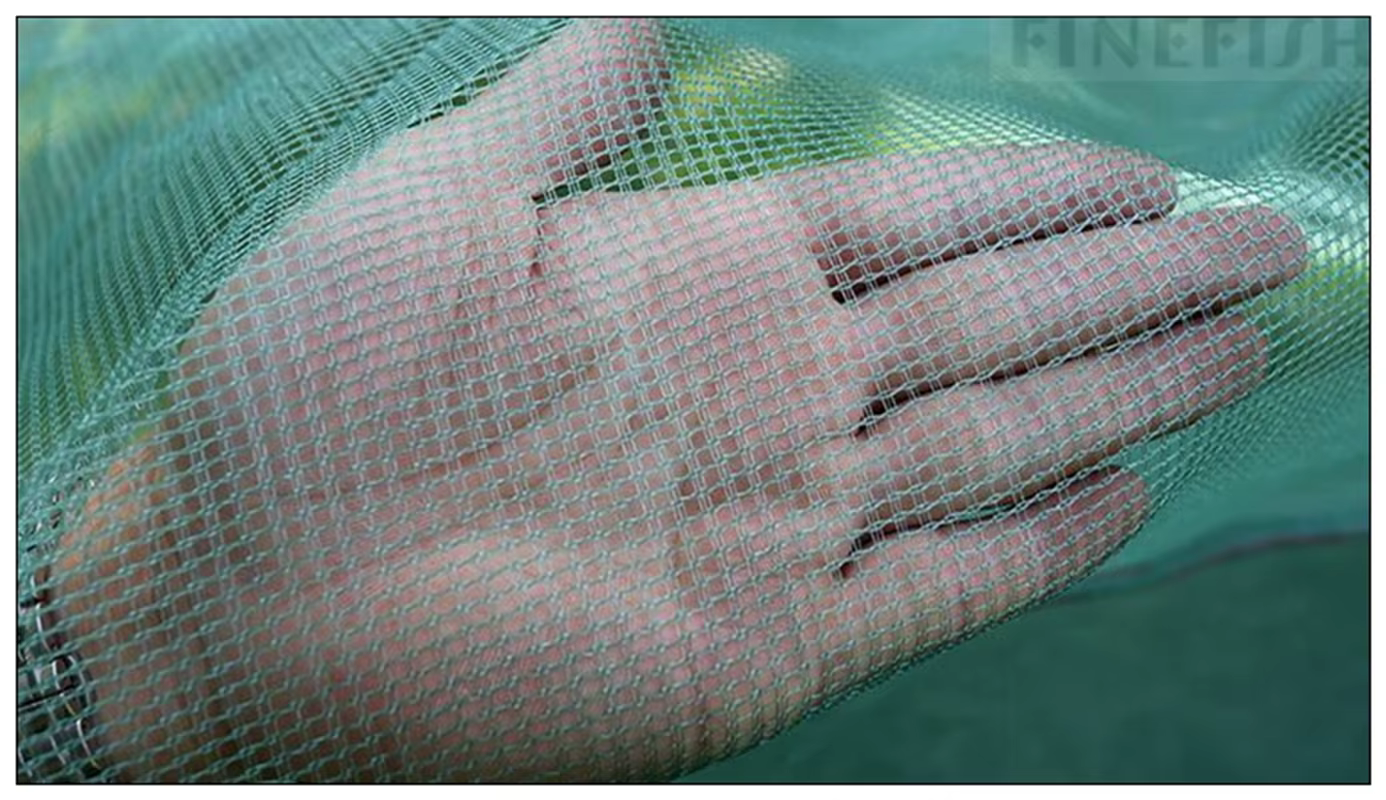 Caja de red Redfish malla 3mm para cría de peces y anguilas