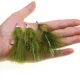 Vtwins Bugger lanoso con anzuelo de púas para streamer - imagen 2