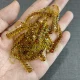 Señuelos de silicona aromatizados camarón y lombriz para lubina - imagen 2