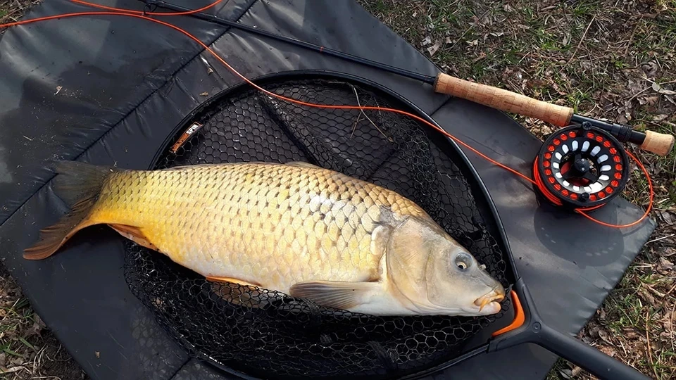 Caña de pescar con mosca MAXIMUMCATCH SaltPro Series en uso