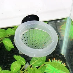 Gusanos rojos congelados para cebar peces – Alimento vivo para pesca