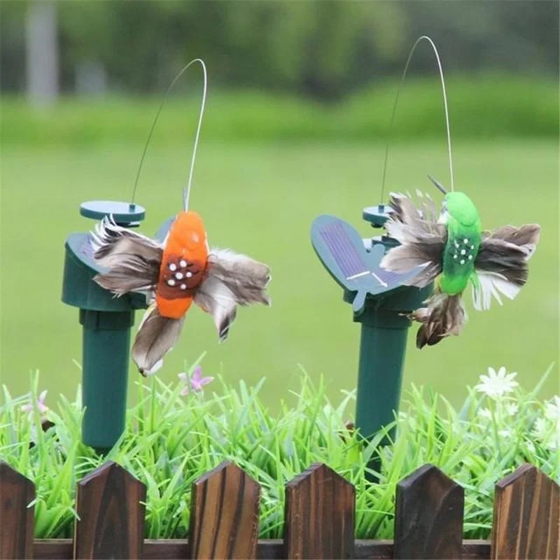 Colibrí solar en jardín