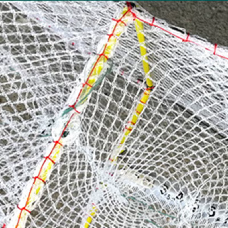 Red de pesca plegable para cangrejos, anguilas y langostas - imagen 2