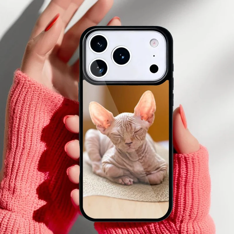 Variedad de colores disponibles para la funda de gato Sphynx