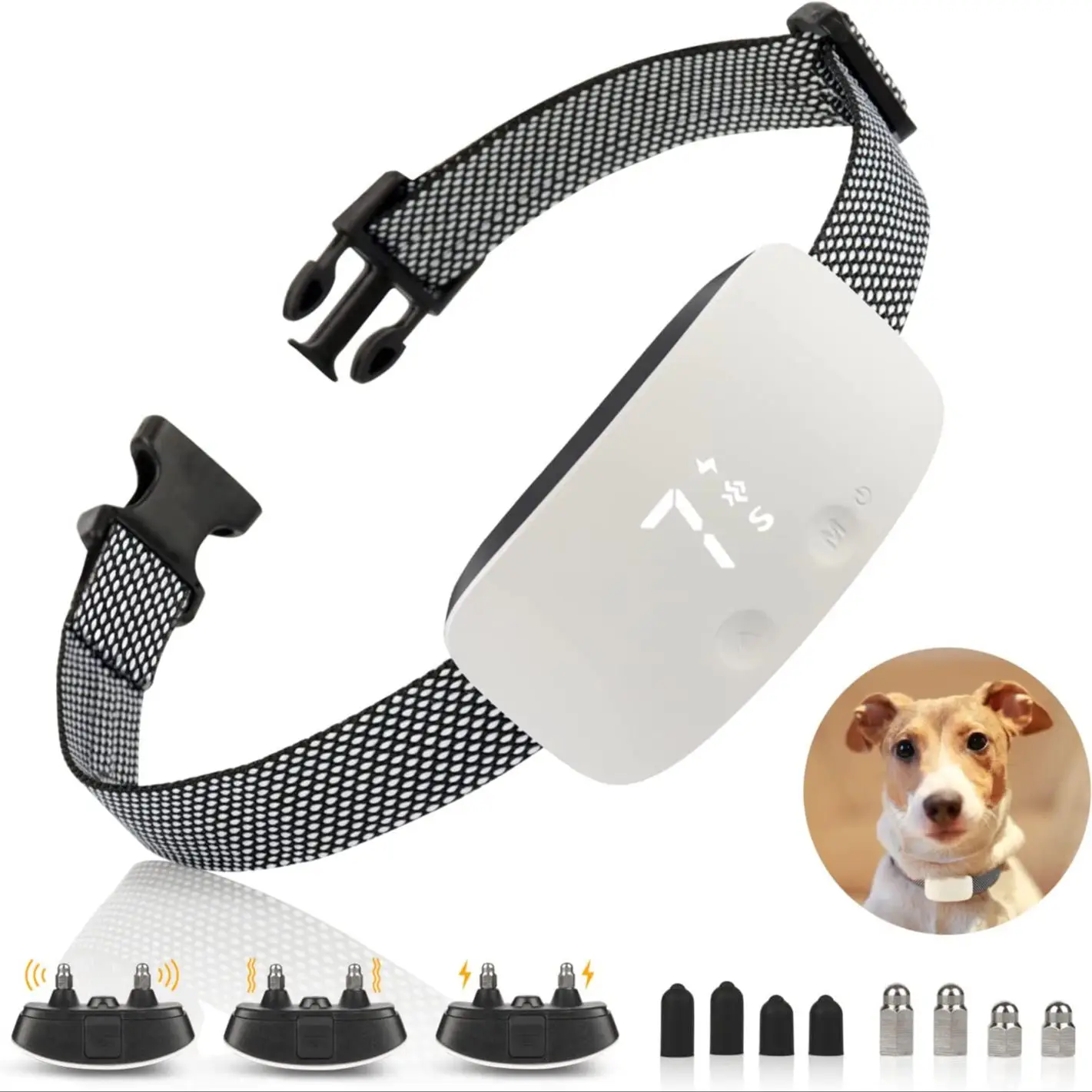 Collar PuPoPan con Control Remoto