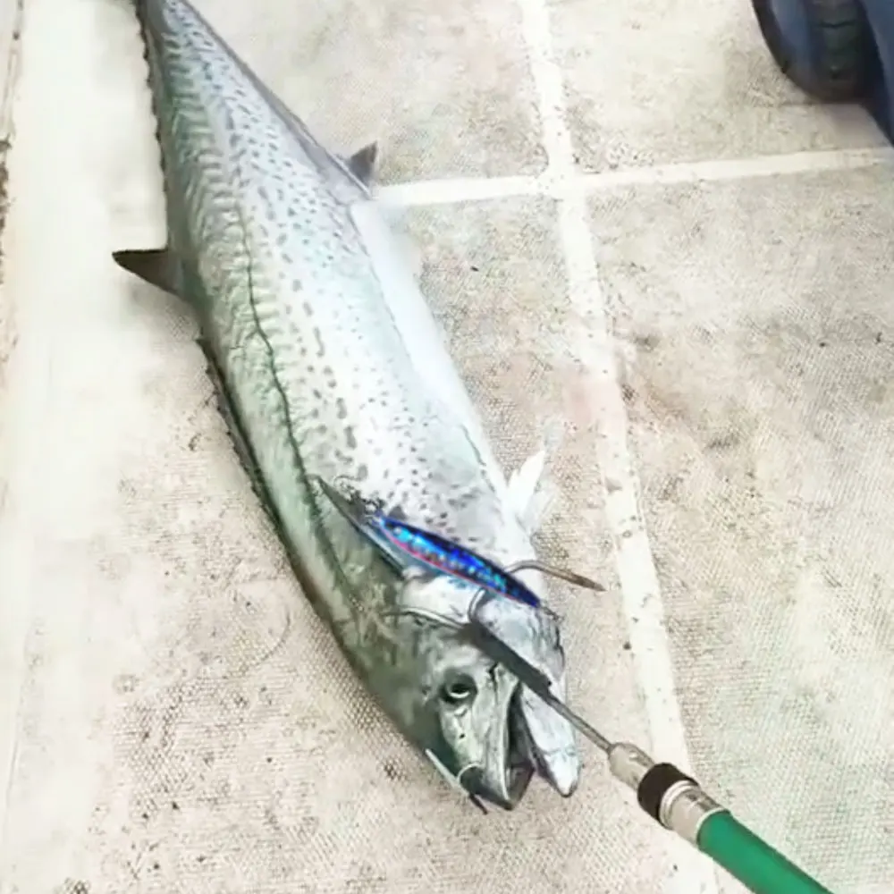 Señuelo jig rápido con acabado brillante para jigging - imagen 4