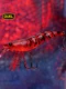 Señuelo DUEL SHRIMP duro de hundimiento lento, fundición larga - imagen 5