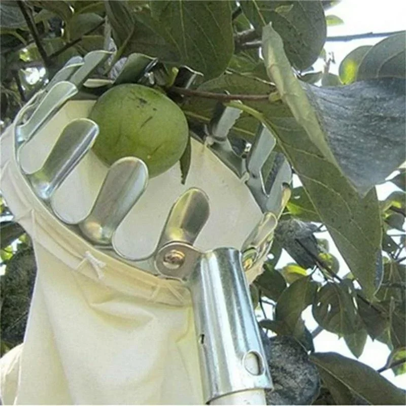 Recogedor de frutas metálico para cosecha en altura - imagen 4