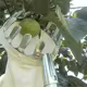 Recogedor de frutas metálico para cosecha en altura - imagen 4