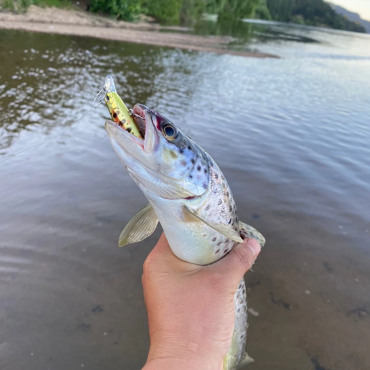 TSU Wobbler Minnow hundible – Crankbait para lubina y lucio - imagen 5