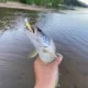 TSU Wobbler Minnow hundible – Crankbait para lubina y lucio - imagen 5