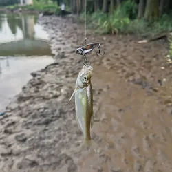 Señuelo VIB metal ojos 3D vibraciones vívidas para pesca de lubina
