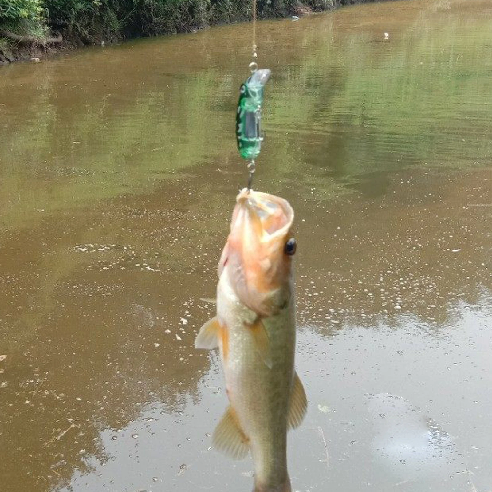 Señuelos Minnow sin pintar Free Fisher Wobbler duros para lubina - imagen 4