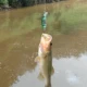 Señuelos Minnow sin pintar Free Fisher Wobbler duros para lubina - imagen 4