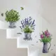 Pegatinas de pared con flores en acuarela para cocina y hogar - imagen 2