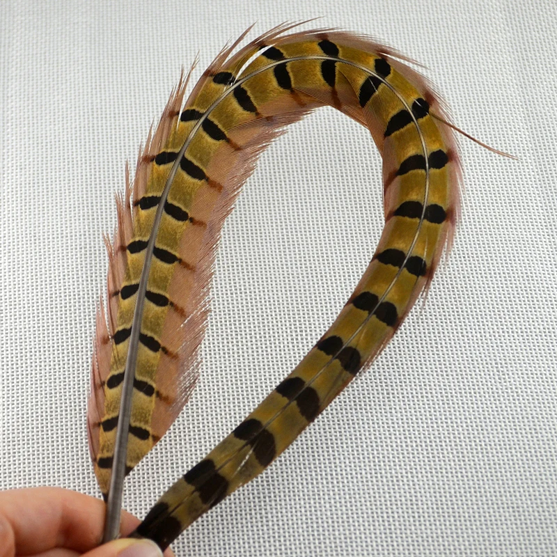 Variedad de fibras en plumas de faisán