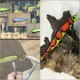 Señuelo oscilante Twitch wLure con bolas rodantes