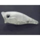 wLure Popper topwater Blank – gran salpicadura y sonido potente