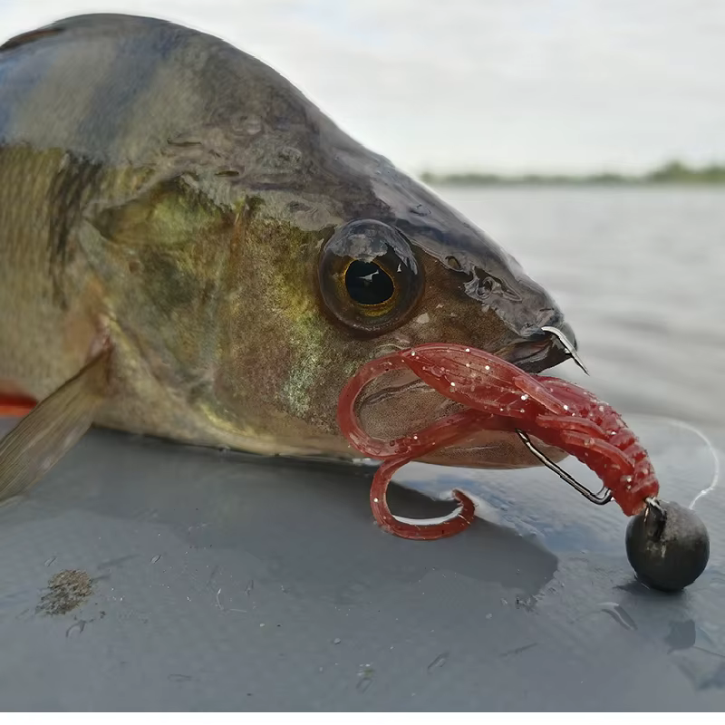 ESFISHING HOG40 Vinilo 45mm Camarón – Ice fishing - imagen 4