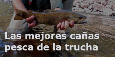 Ver las mejores cañas para la pesca deportiva de la trucha