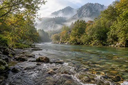 Río de paisaje asturiano entre bosques y montañas, hábitat asociado al salmón atlántico