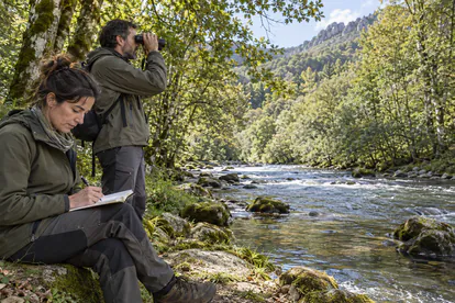 Dos observadores registran datos desde la orilla de un río rodeado de bosque