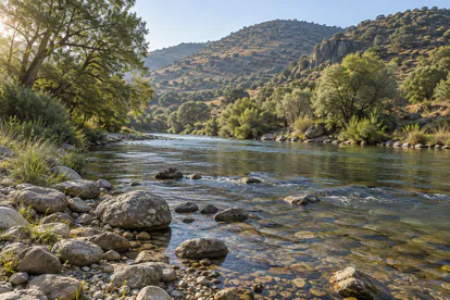 Río de paisaje extremeño con gravas, piedras redondeadas y vegetación de ribera