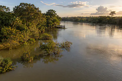 Río tropical brasileño de corriente lenta junto a vegetación ribereña